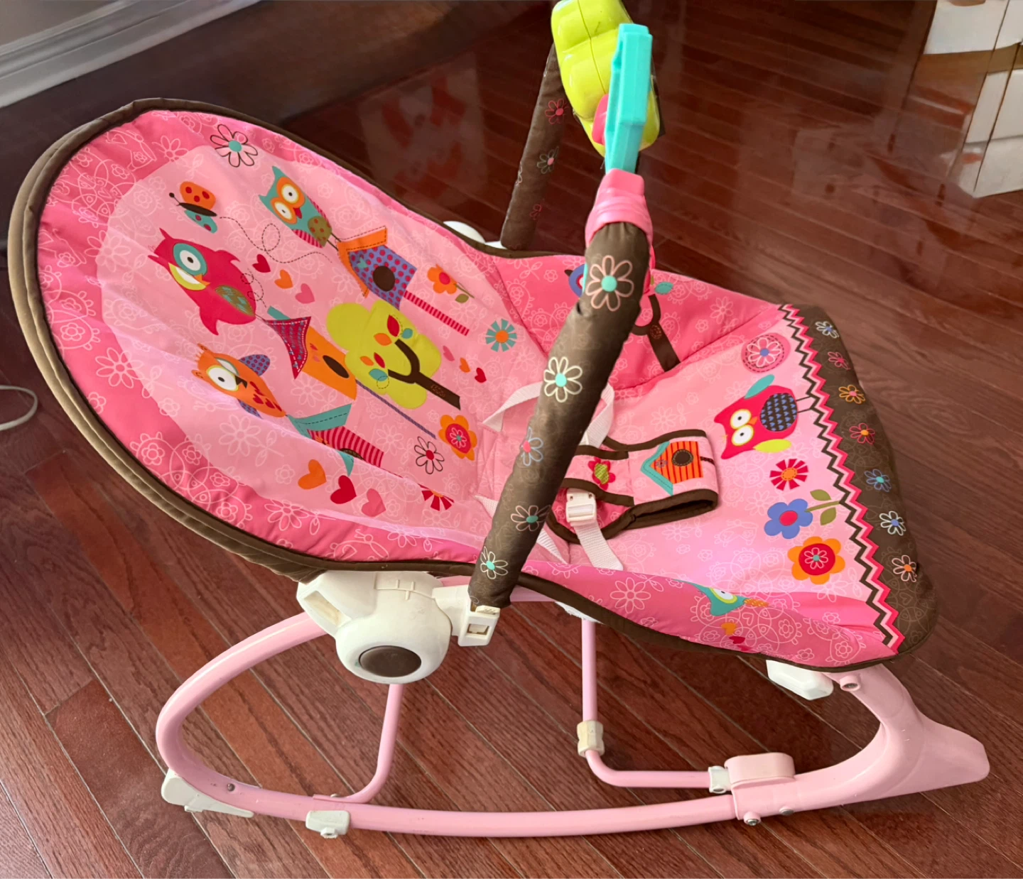 Fisher-Price Baby Bouncer Seat - photo 3