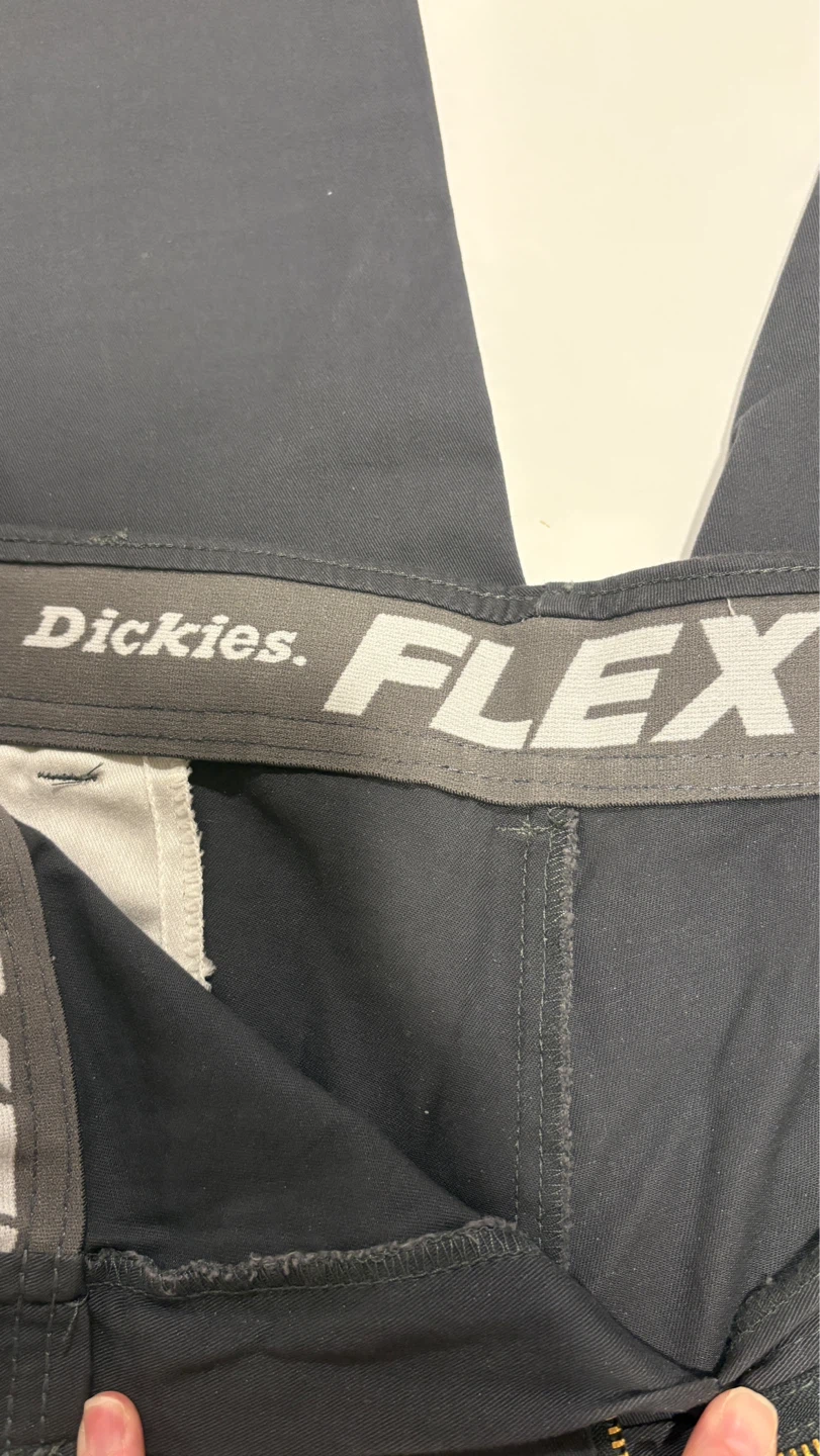 Dickies FLEX Pants
