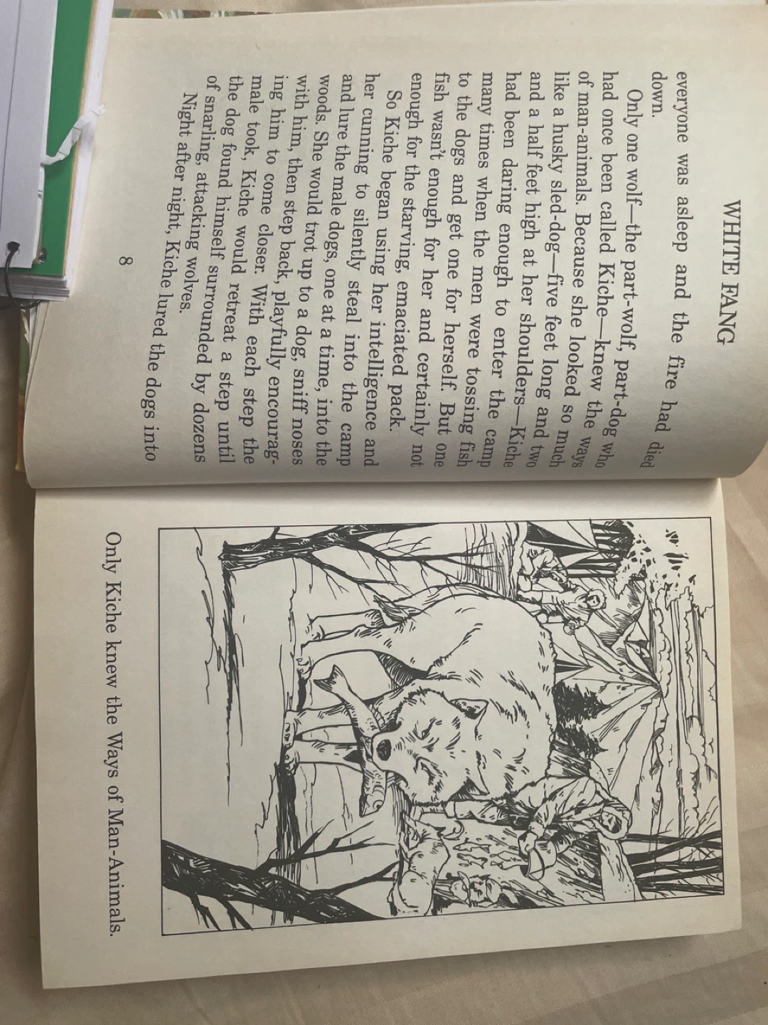 White Fang Great Illustrated Classics Jack London Book - photo 4