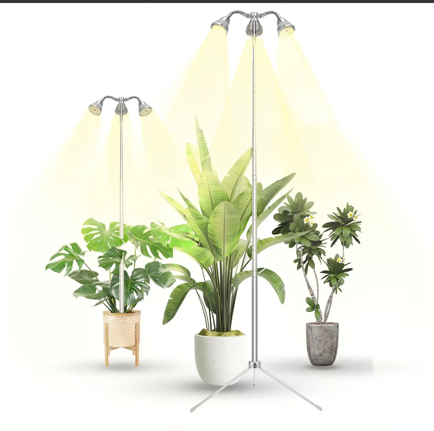 Full Spectrum Grow Light for Indoor Plants G55