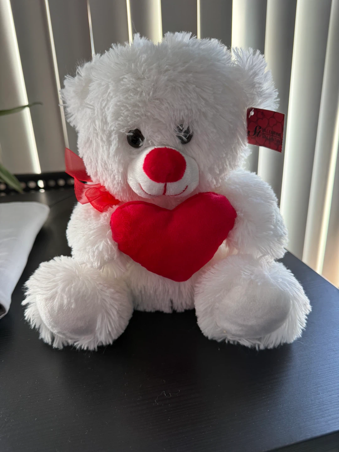 New White Valentine Teddy Bear with Heart