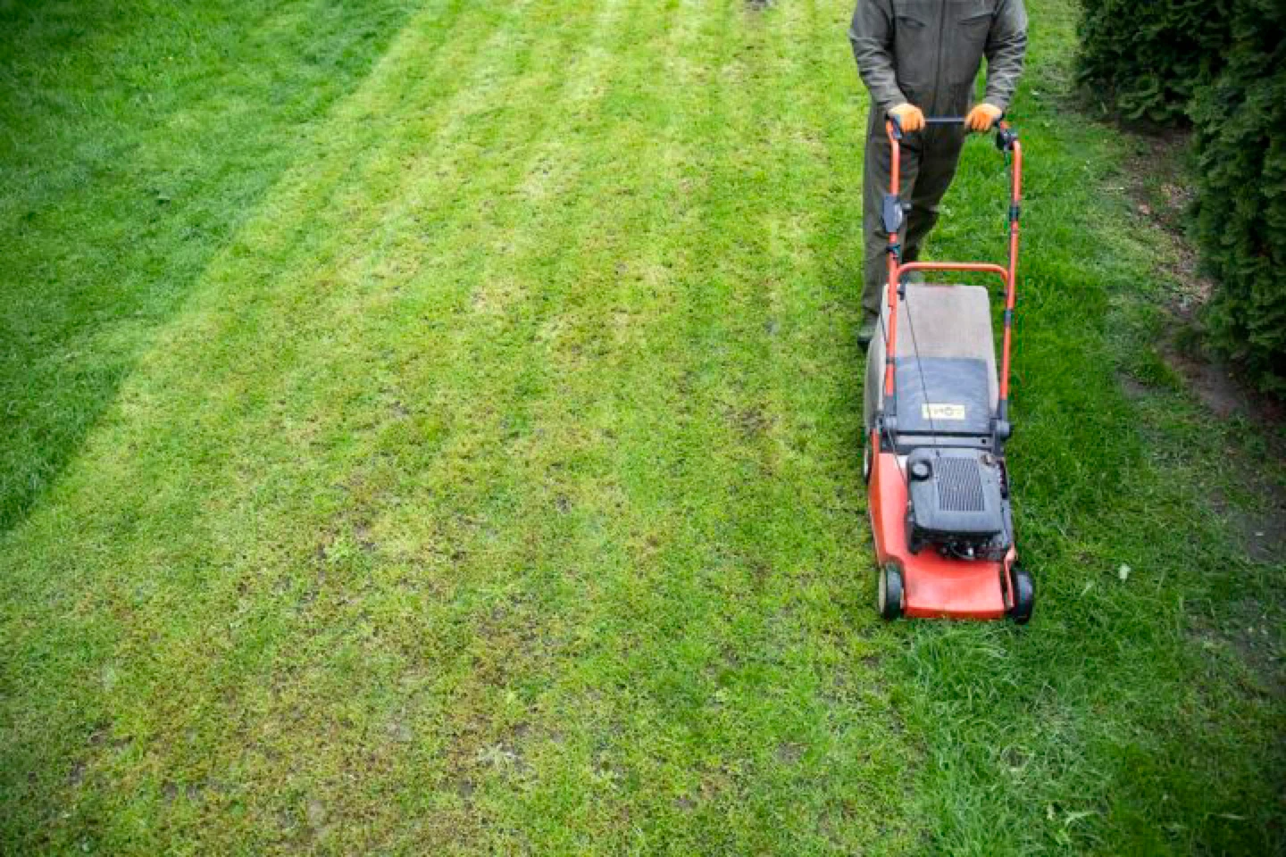 Grass cutting