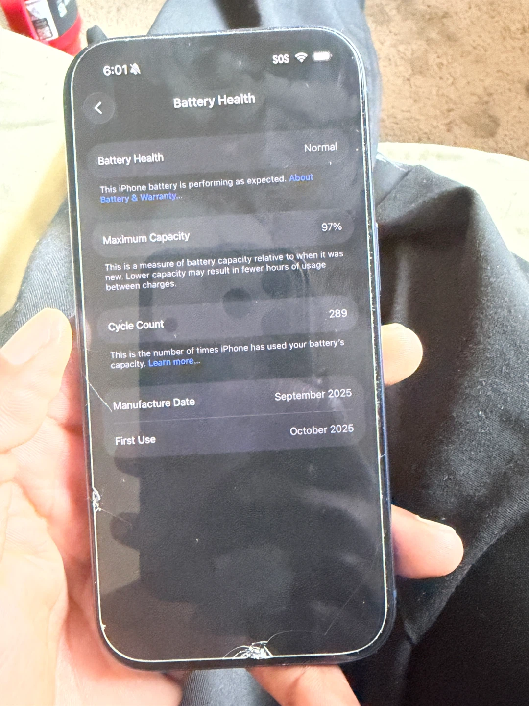 iPhone 17 Pro 512GB Blue - photo 4