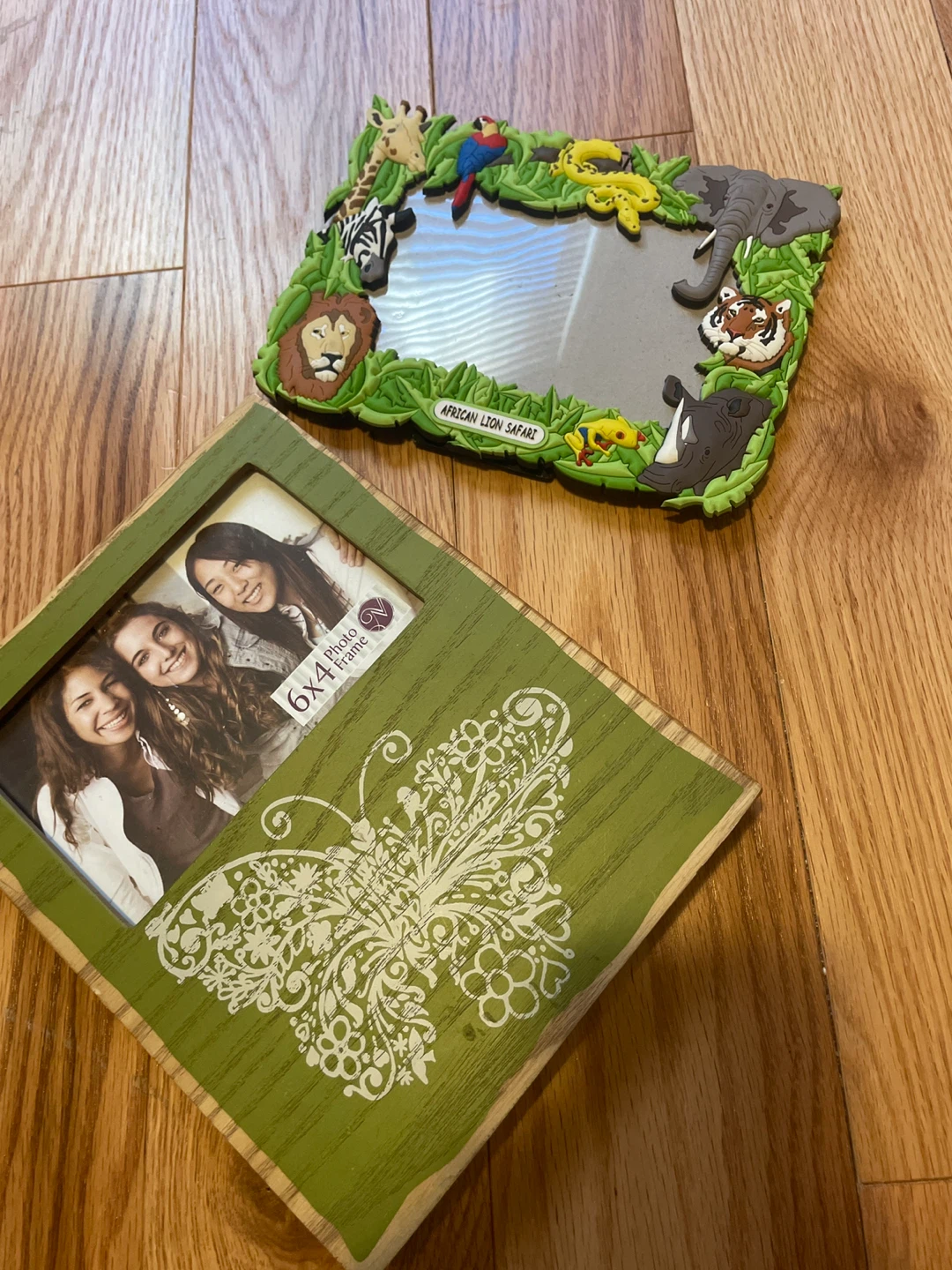 African Lion Safari and Butterfly Photo Frames