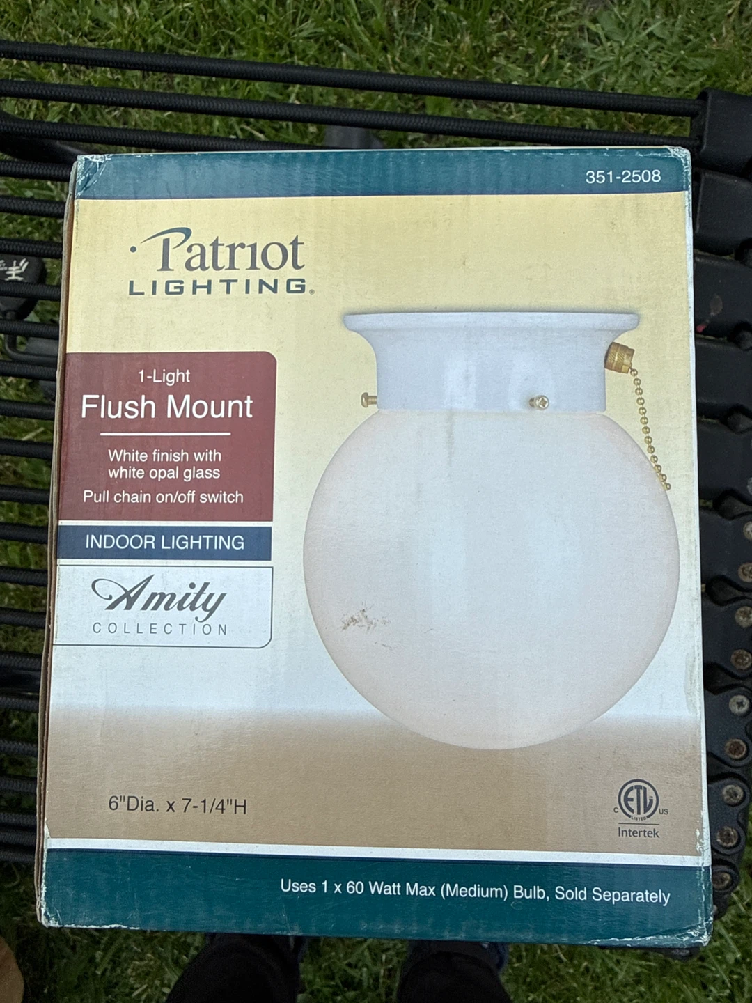 Patriot Lighting 1-Light Flush Mount Indoor Light