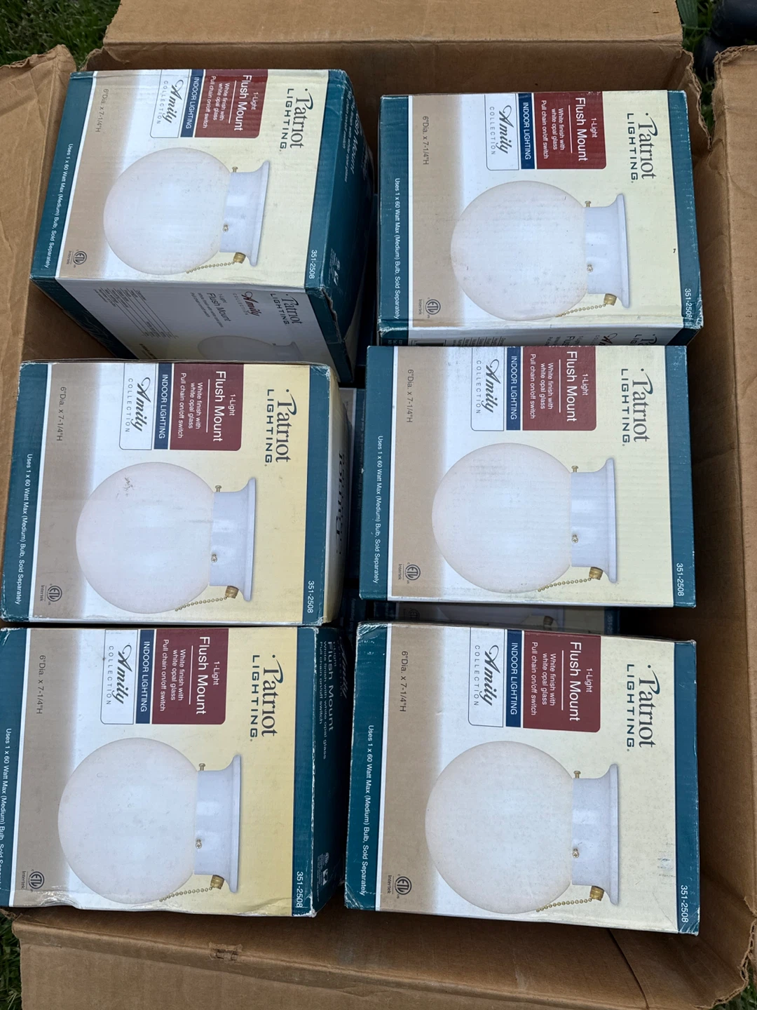 Patriot Lighting 1-Light Flush Mount Indoor Light - photo 3