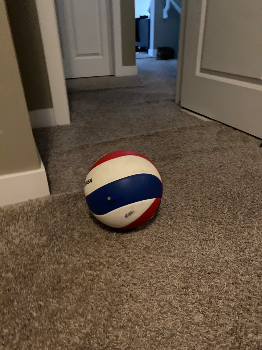 Mikasa Volleyball - photo 2