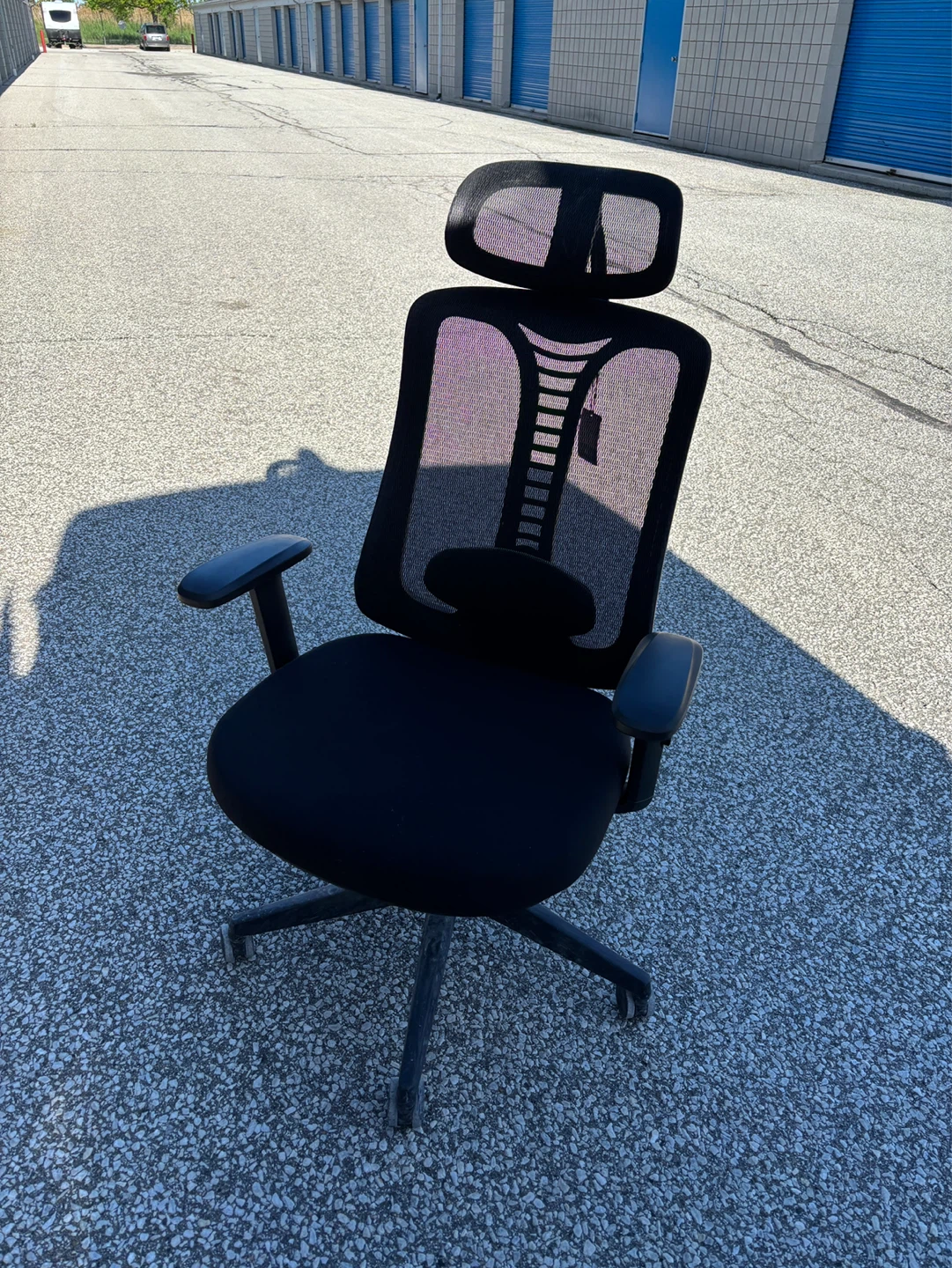 Black Ergonomic Office Chair with Headrest