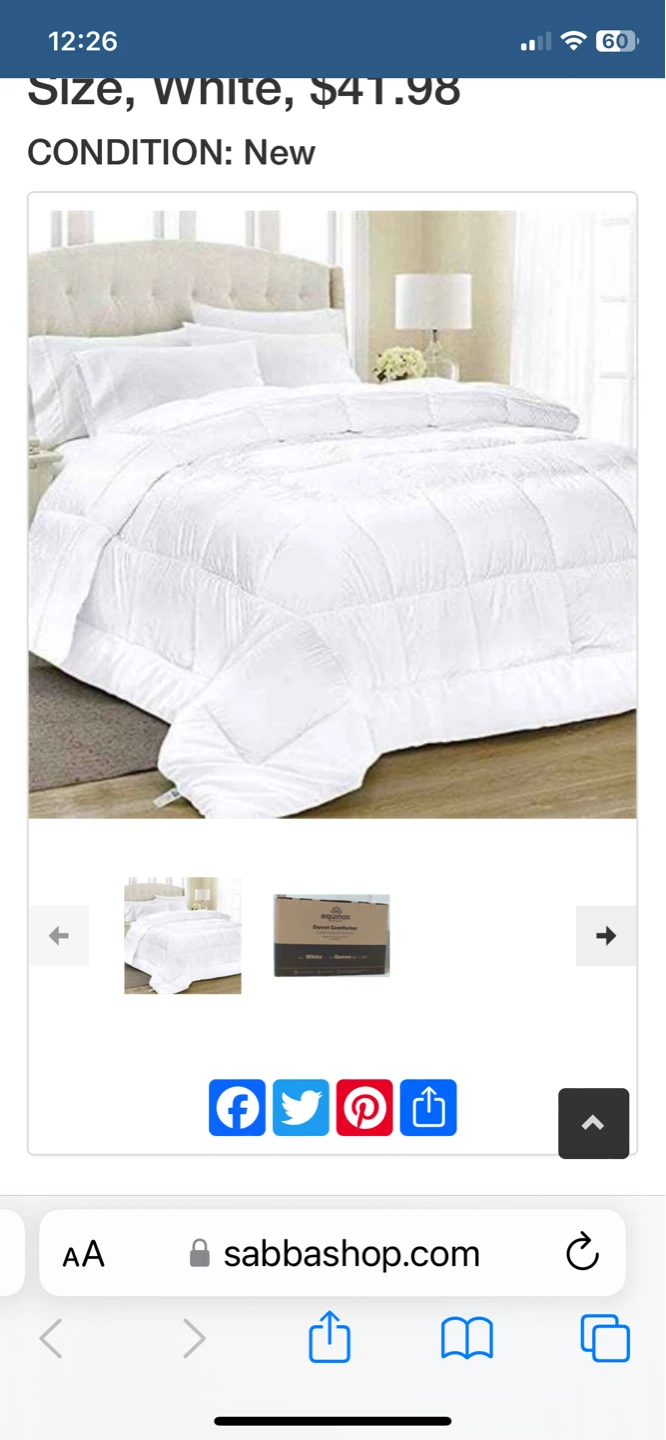 Equinox International Duvet Comforter - Queen, White