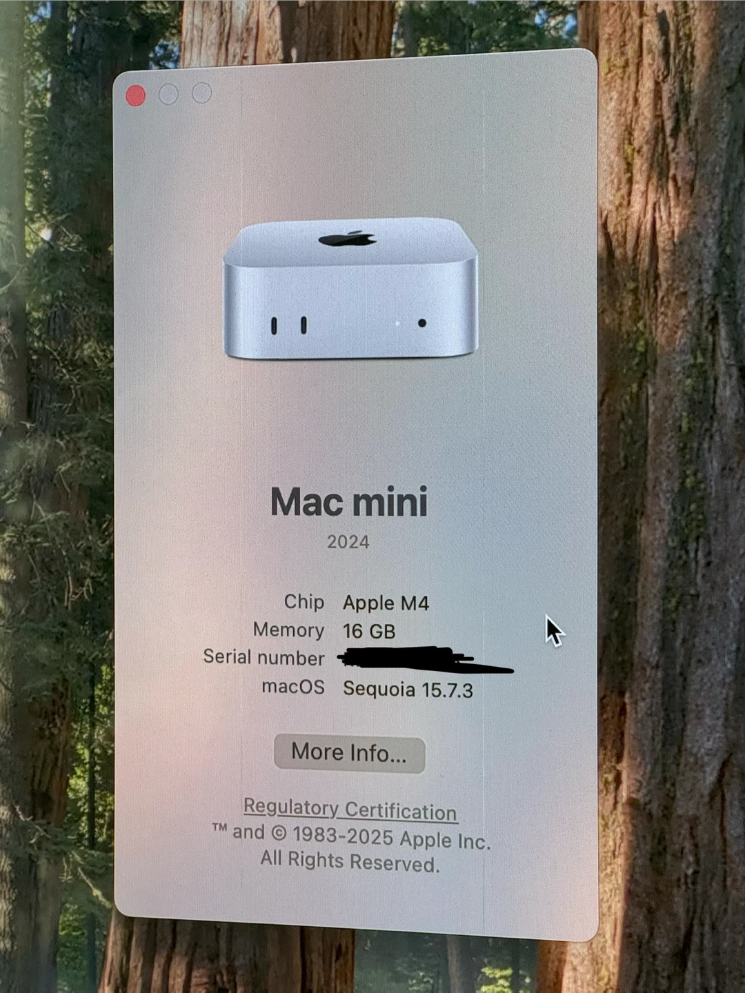 Apple Mac Mini M4 16/256 plus accessories - photo 2