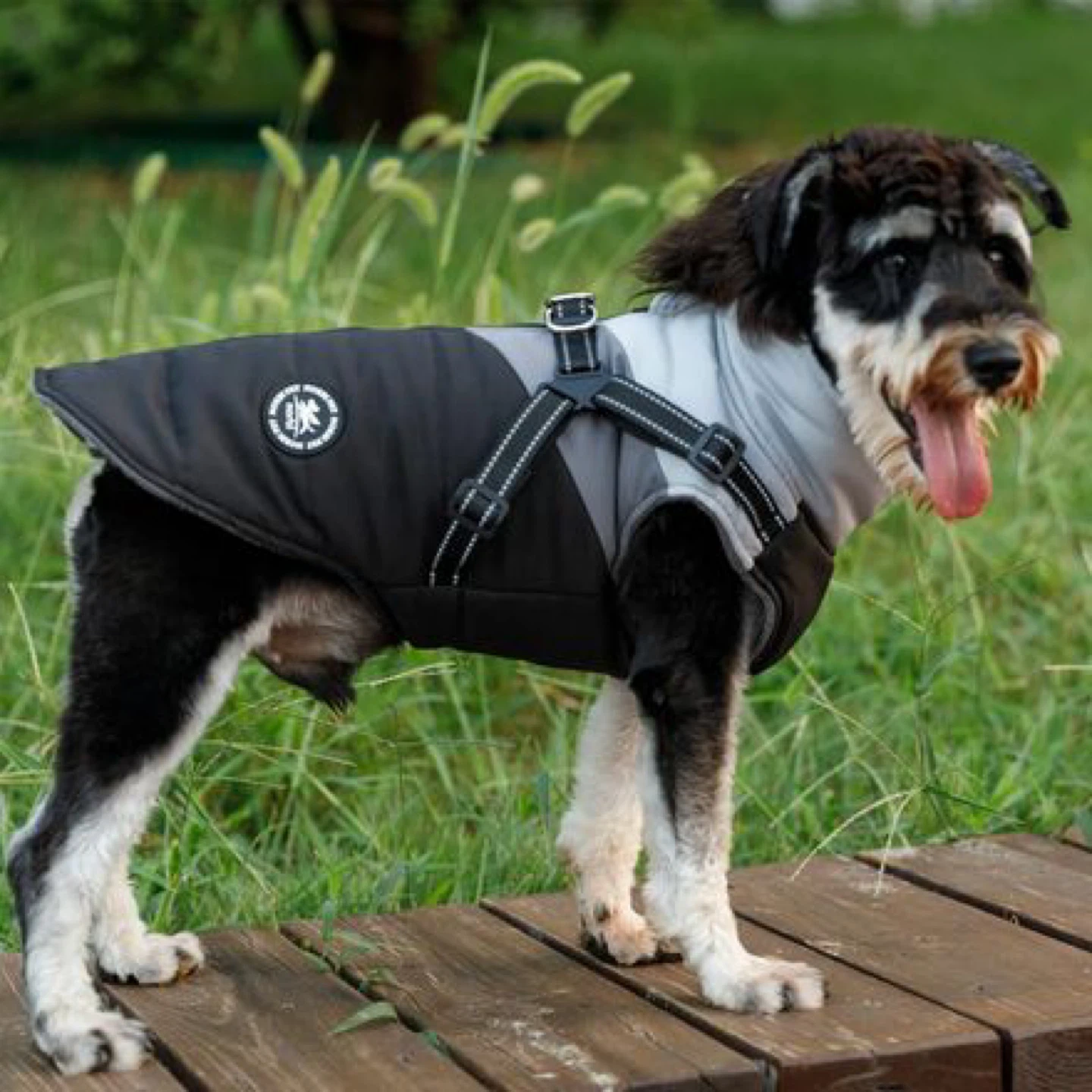 Dog Winter Vest Harness