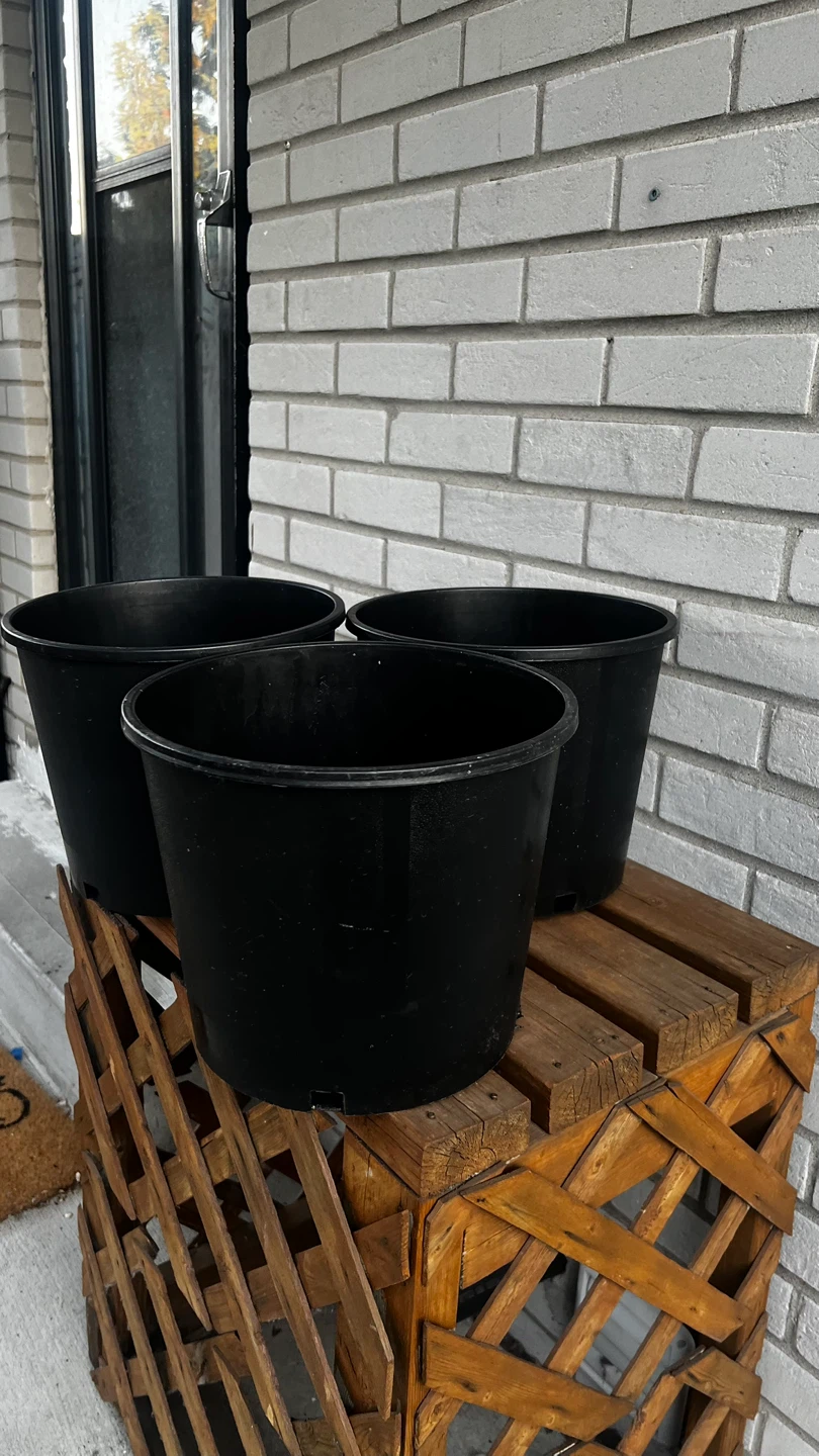 Set of 3 Black Plastic Planters