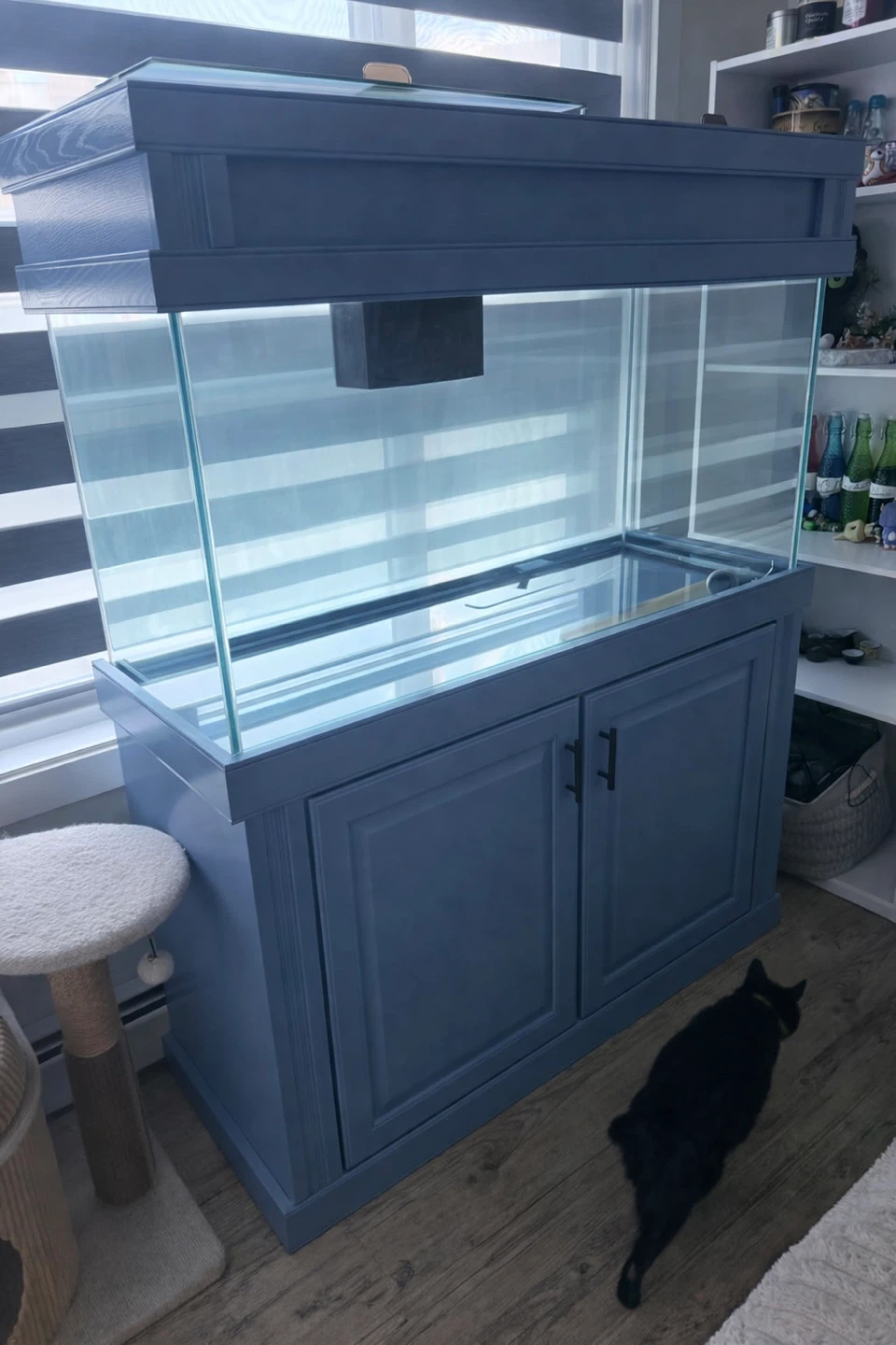 Custom Aquarium with Stand