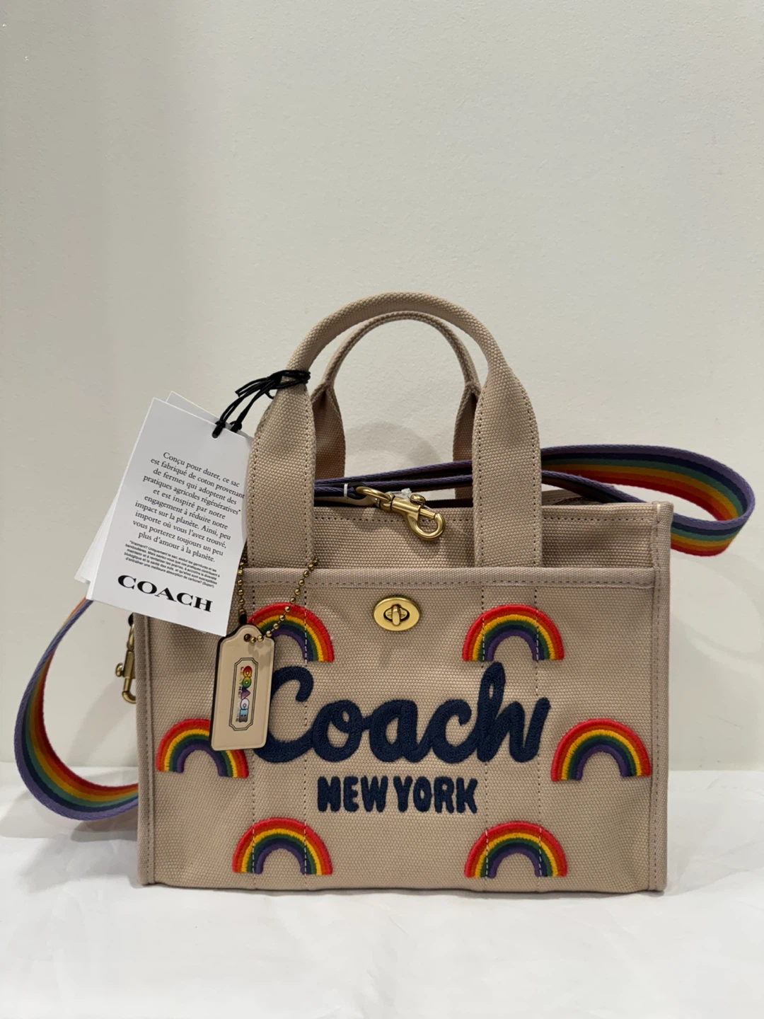 Coach Rainbow Canvas Tote Bag