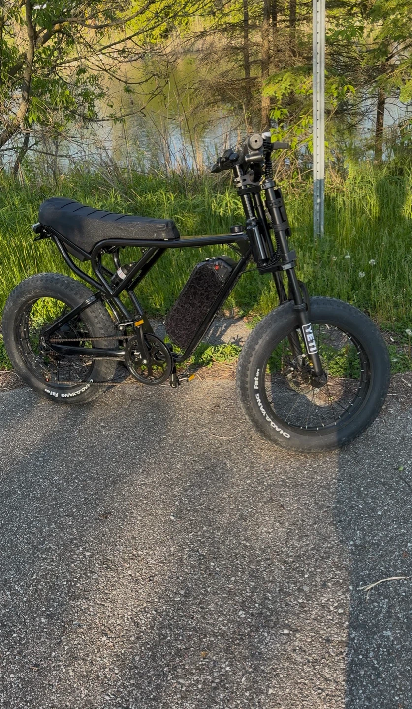 Ridstar Q20 Ebike