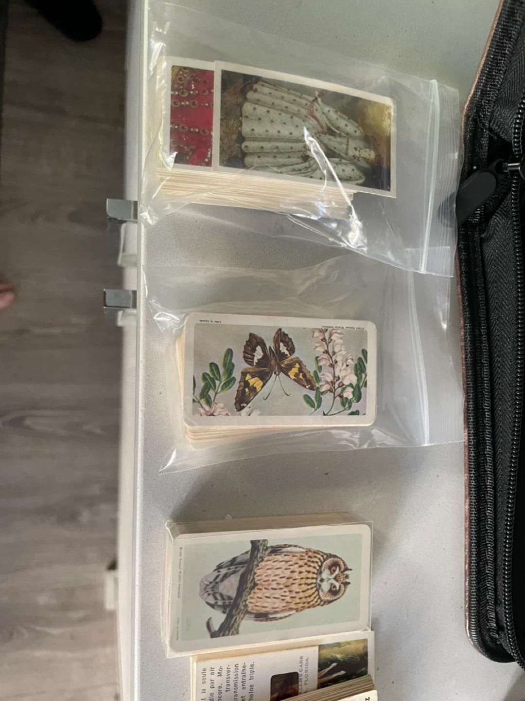 Vintage Tobacco & Red Rose Cards, Bu, Birds, and Dinosaurs - photo 3