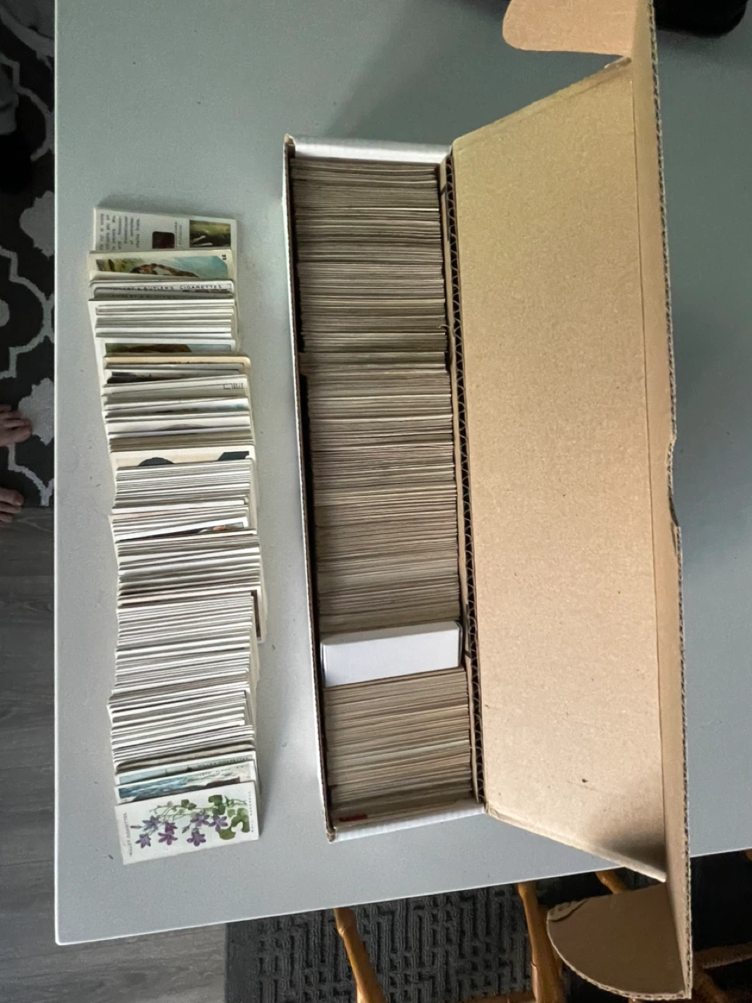 Vintage Tobacco & Red Rose Cards, Bu, Birds, and Dinosaurs