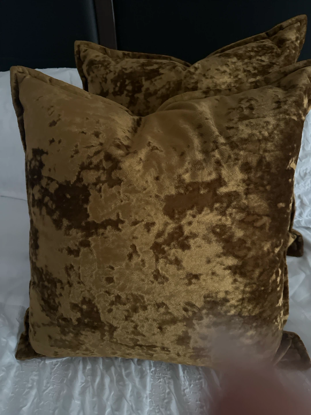 Martha Stewart Crushed Velvet Throw Pillow - Gold