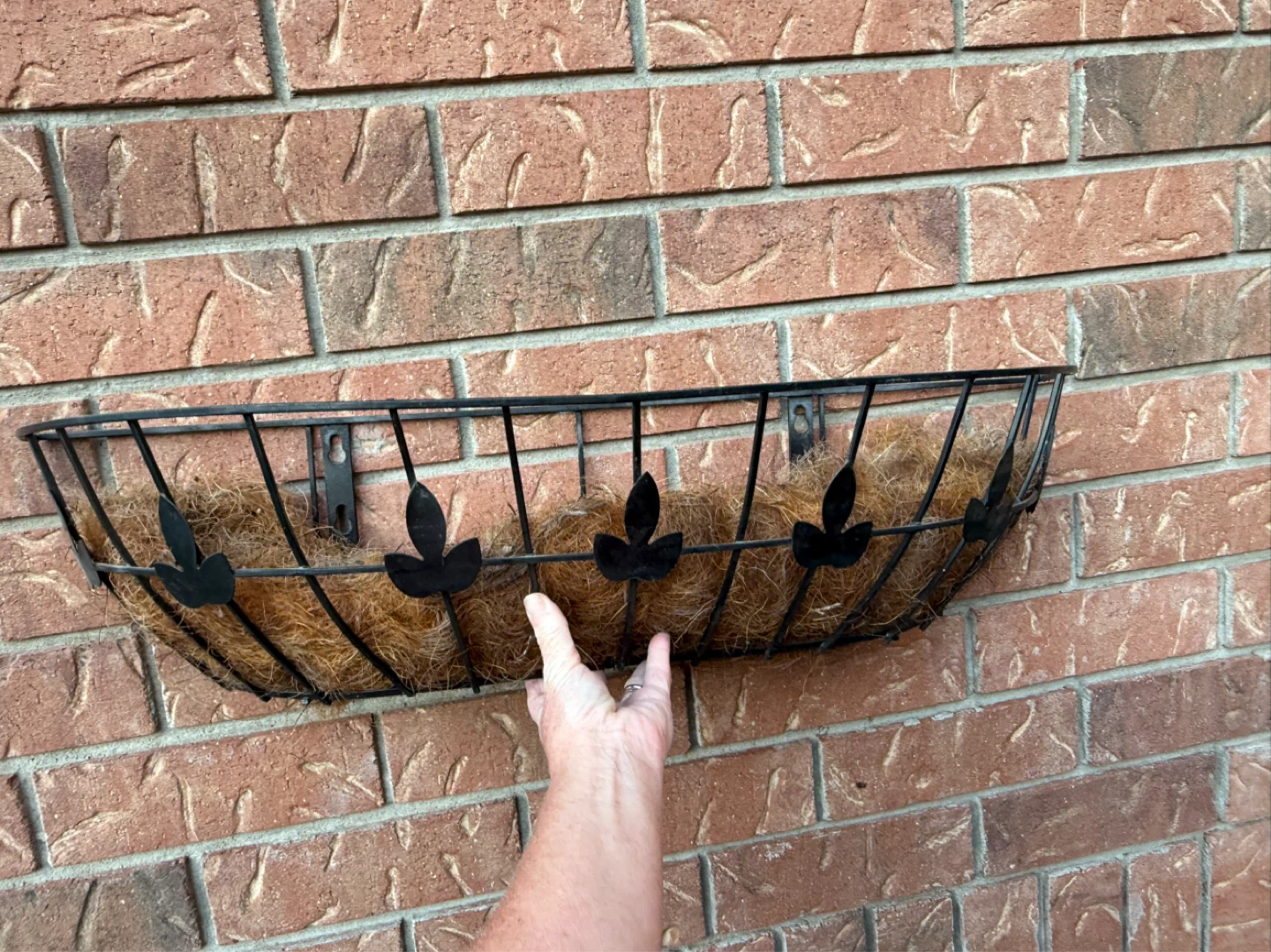 Black Metal Wall Planter Basket with Coco Liner