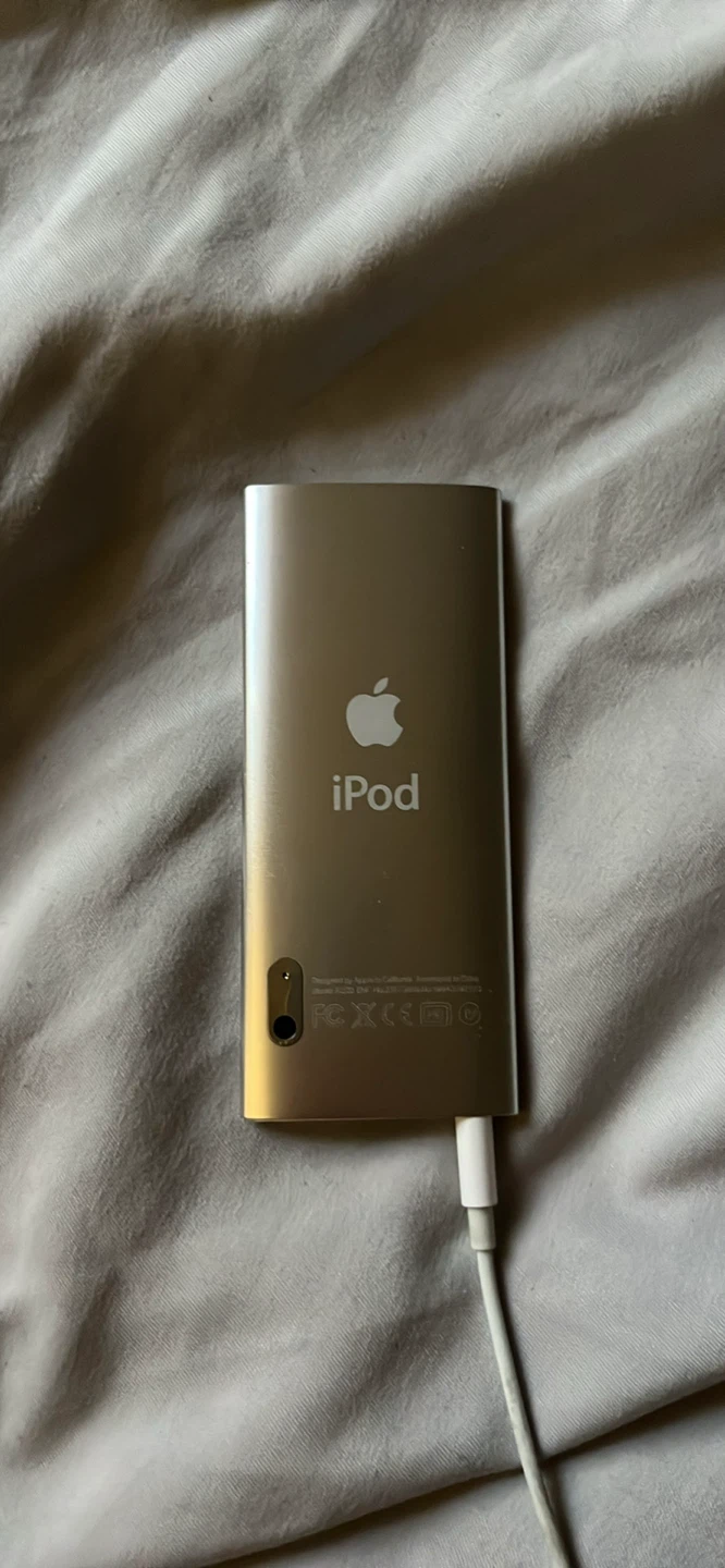 Apple iPod Nano (Silver) - photo 3