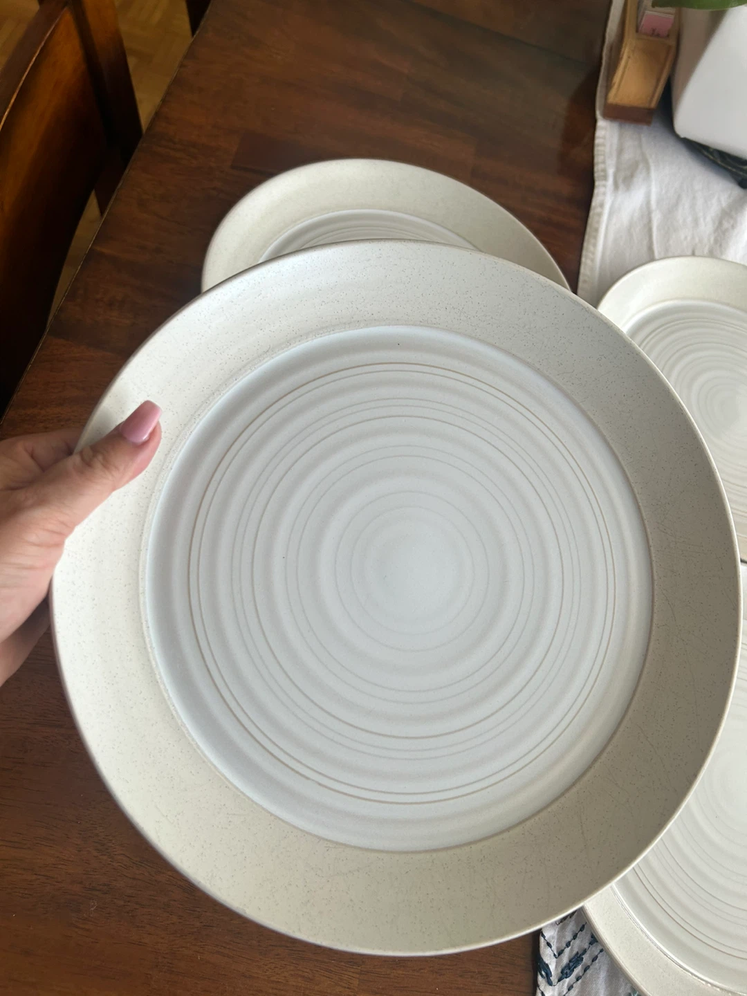 Set of 4 Stoneware Dinner Plates