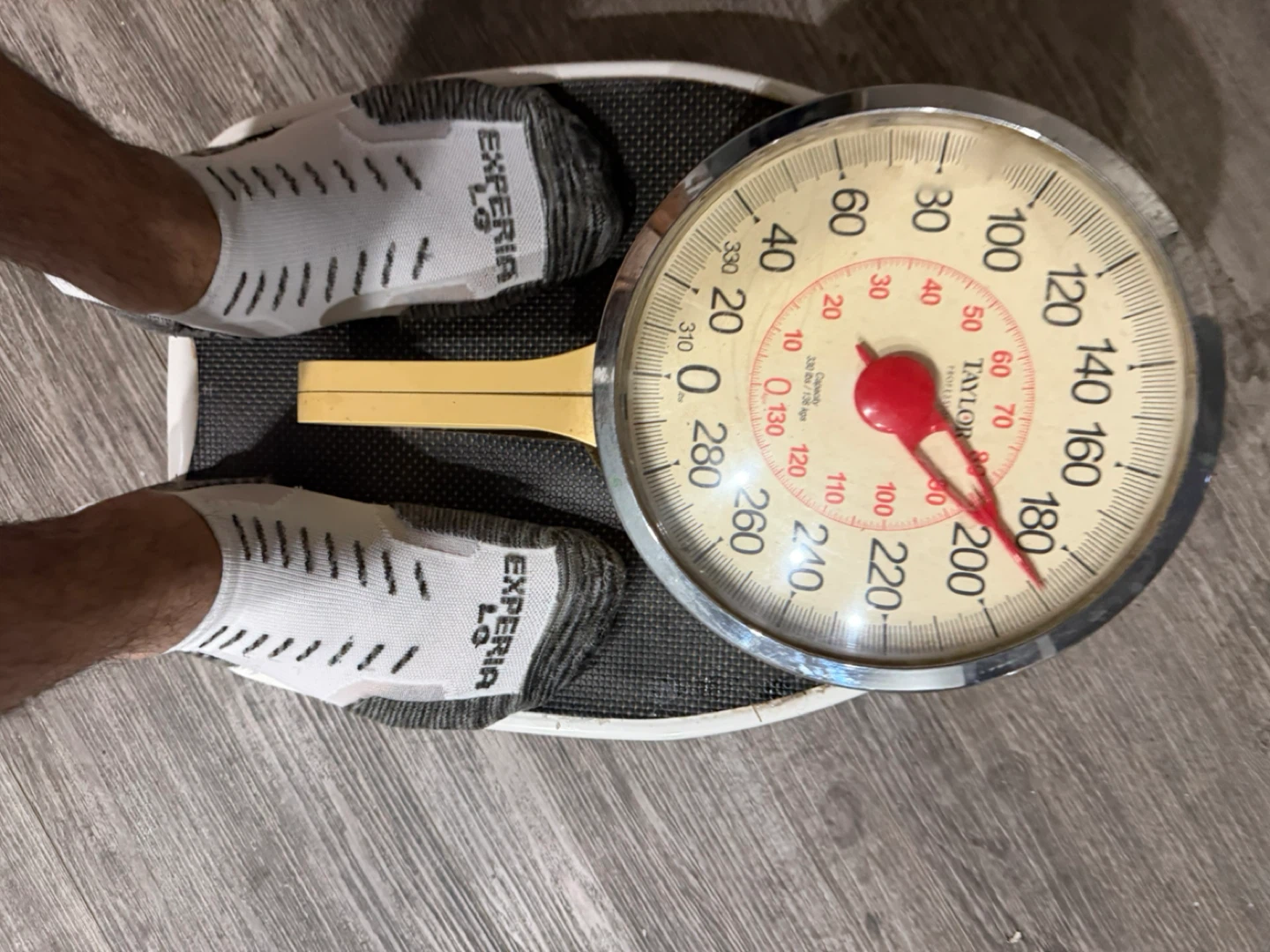 Scale -Taylor Professional Analog Bathroom Scale - photo 5