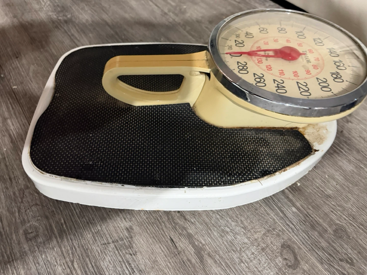 Scale -Taylor Professional Analog Bathroom Scale - photo 3