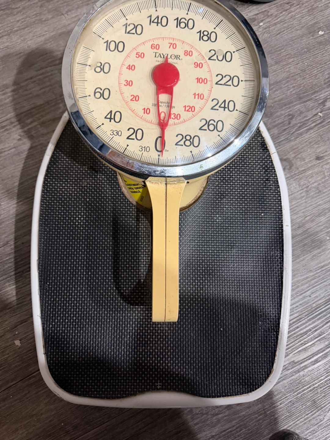 Scale -Taylor Professional Analog Bathroom Scale