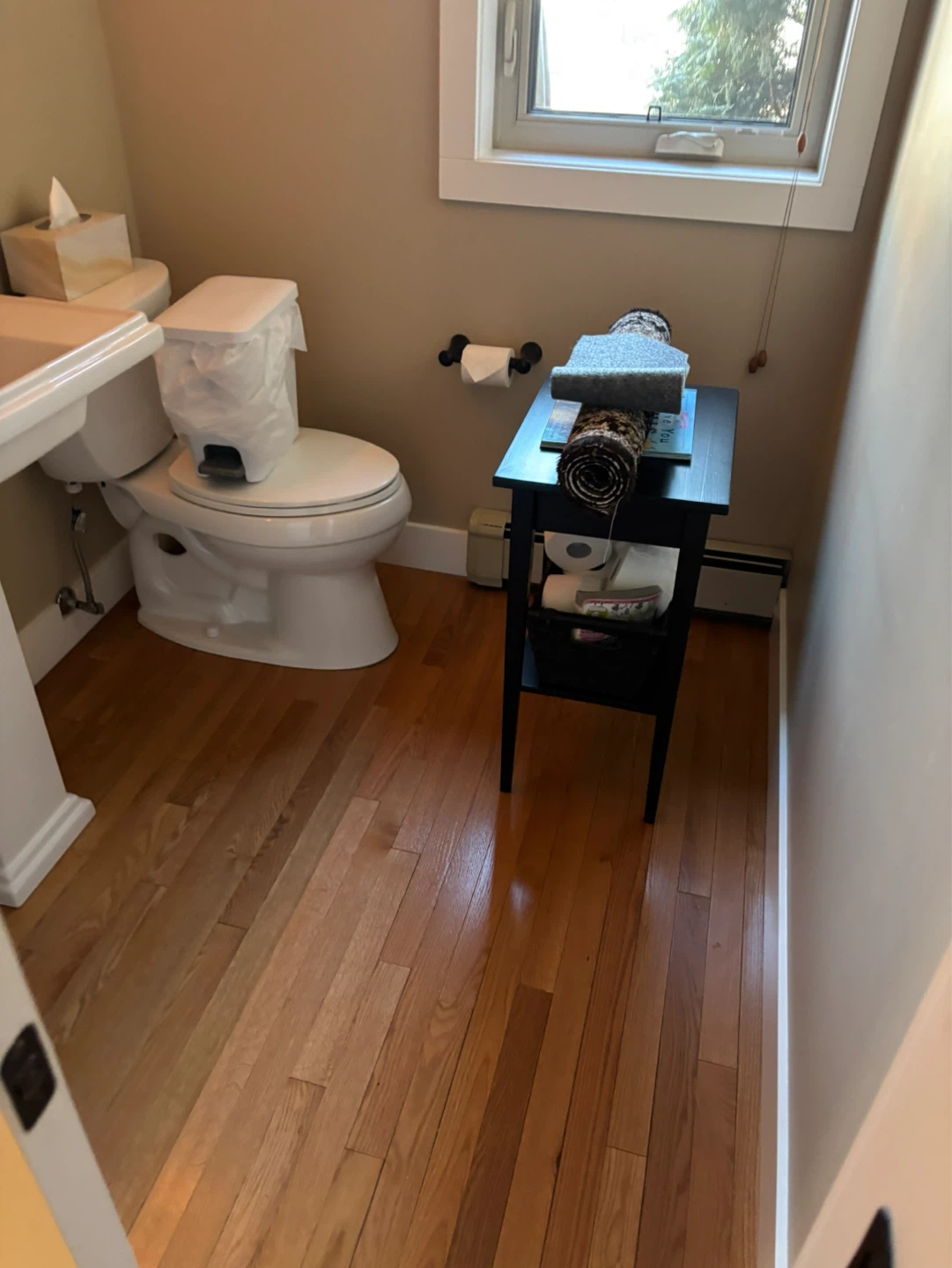 House cleaner - photo 2