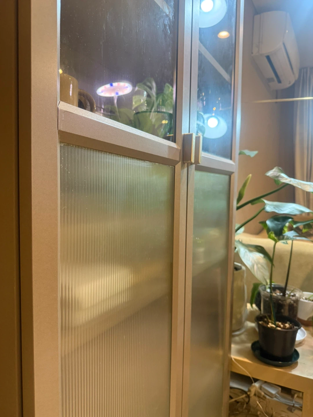Cabinet with Glass Doors - photo 4
