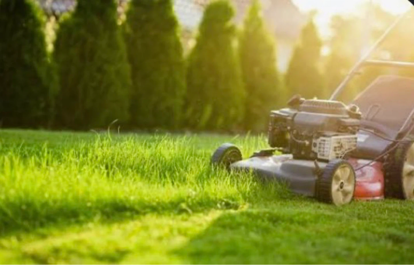 Lawn mowing