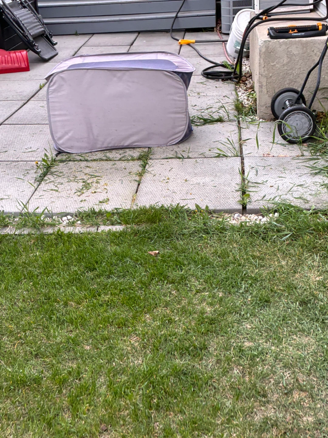 Lawn mowing - photo 5