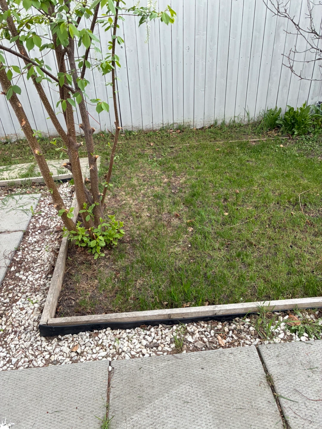 Lawn mowing - photo 3