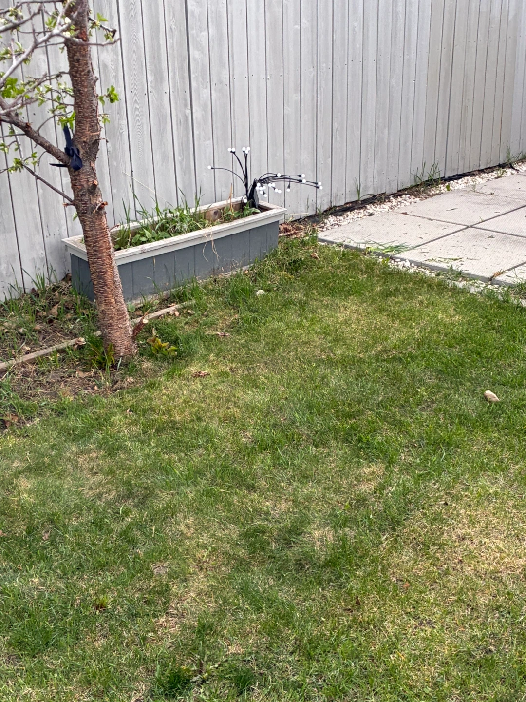 Lawn mowing - photo 4