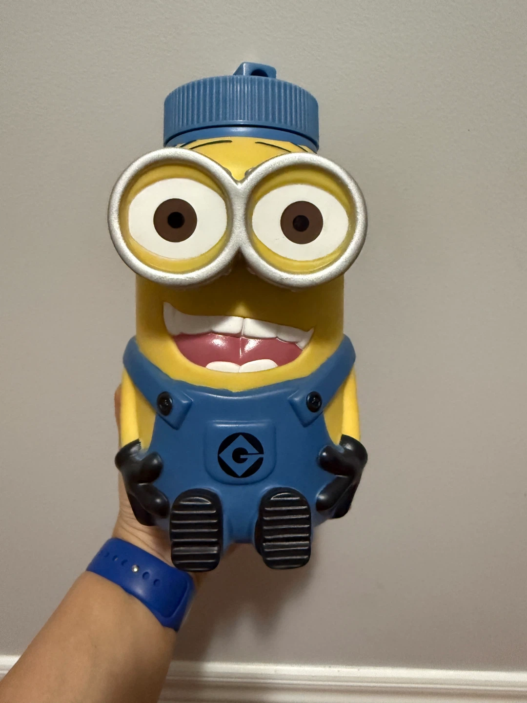 Universal Studio Minions Water Bottle