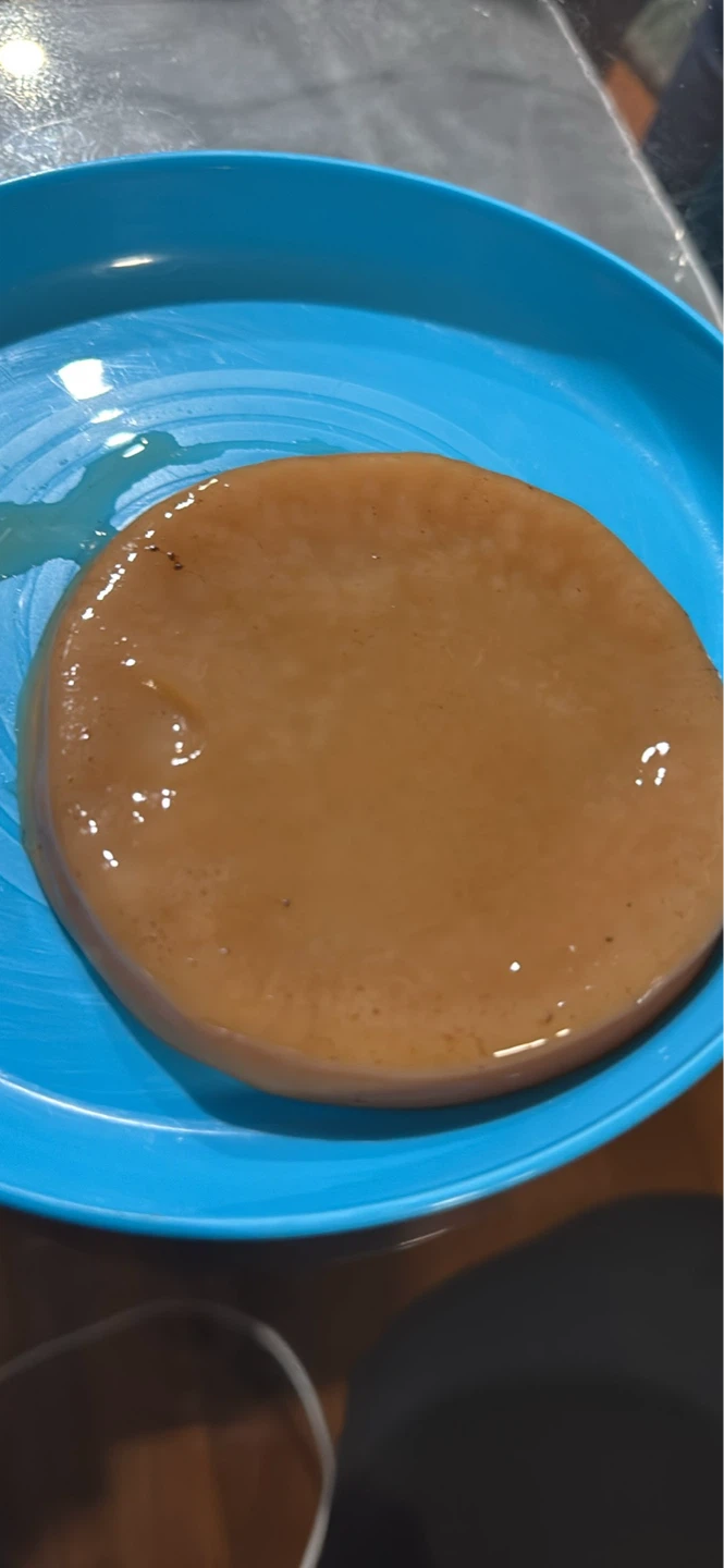 Kombucha SCOBY