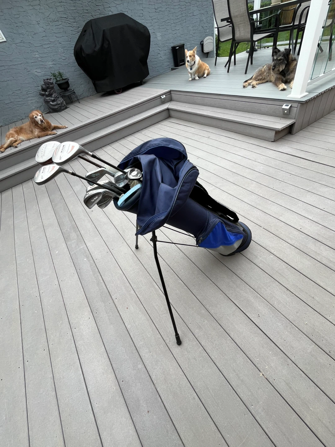 Navy Blue Golf Bag with Clubs - photo 3