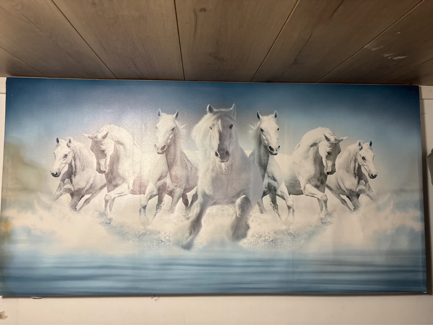 Large canvas print of galloping white horses