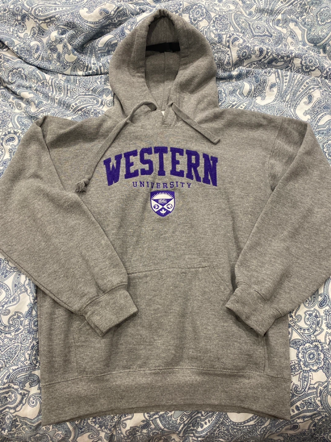 Western University Grey Hoodie