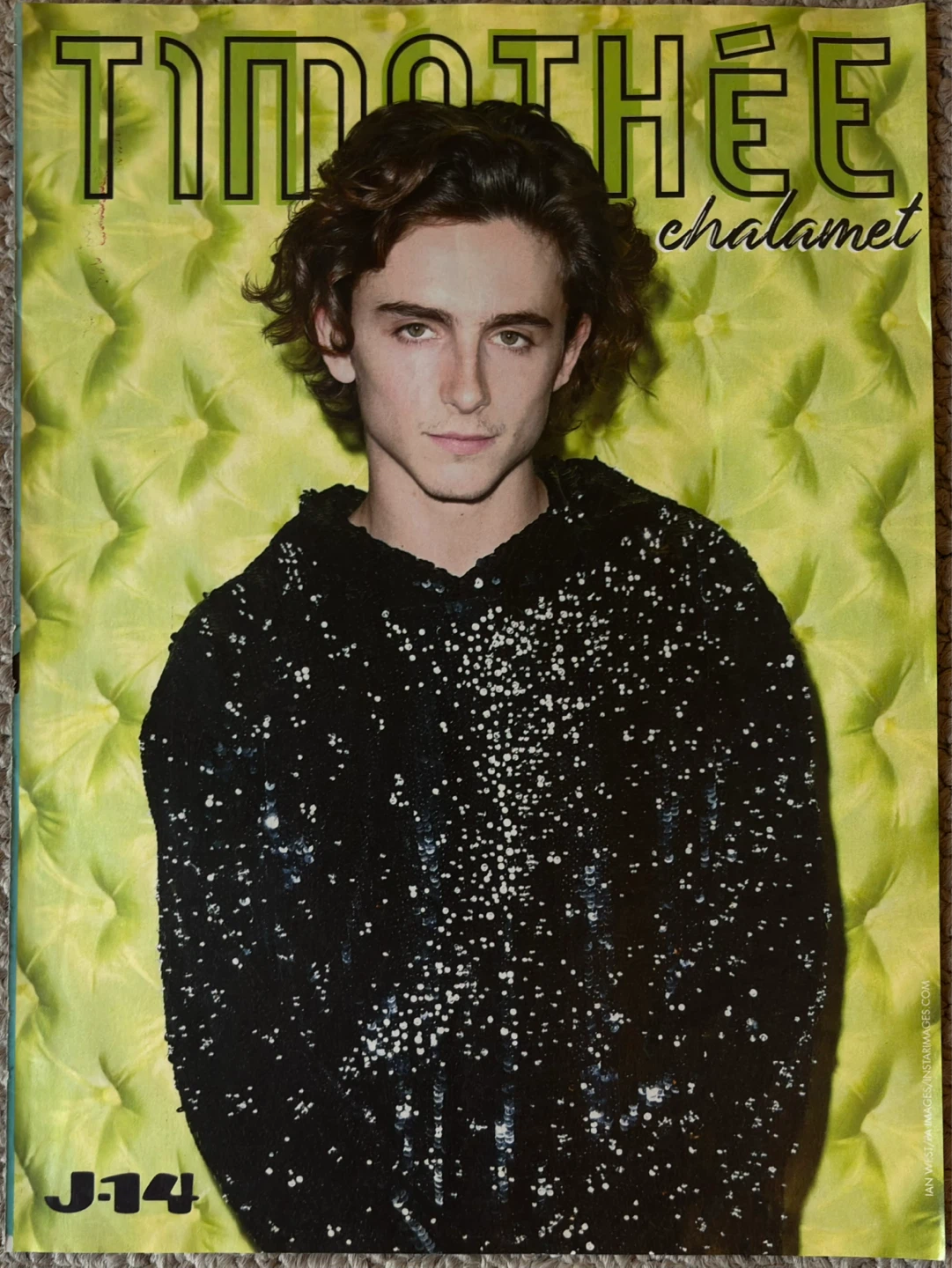 Timothée Chalamet J-14 Poster