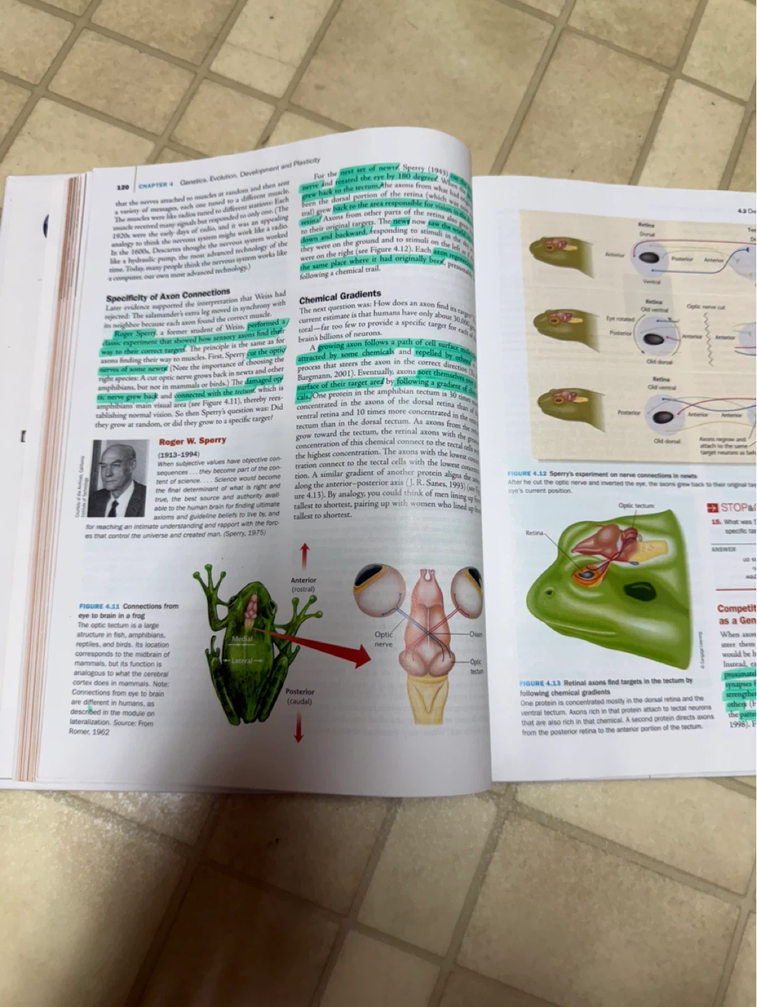 Biological Psychological 12E James W. Kalat textbook - photo 2