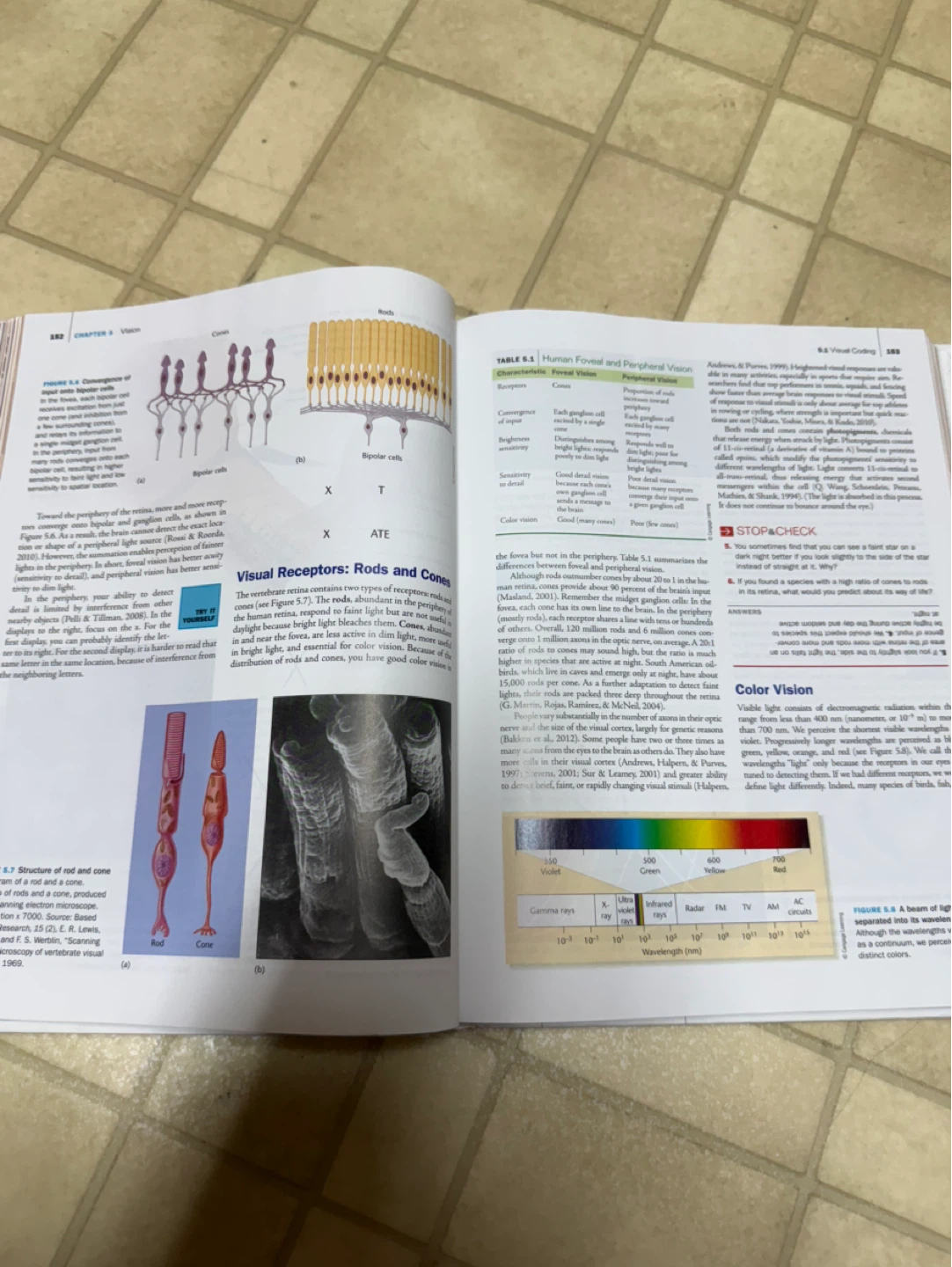 Biological Psychological 12E James W. Kalat textbook - photo 4