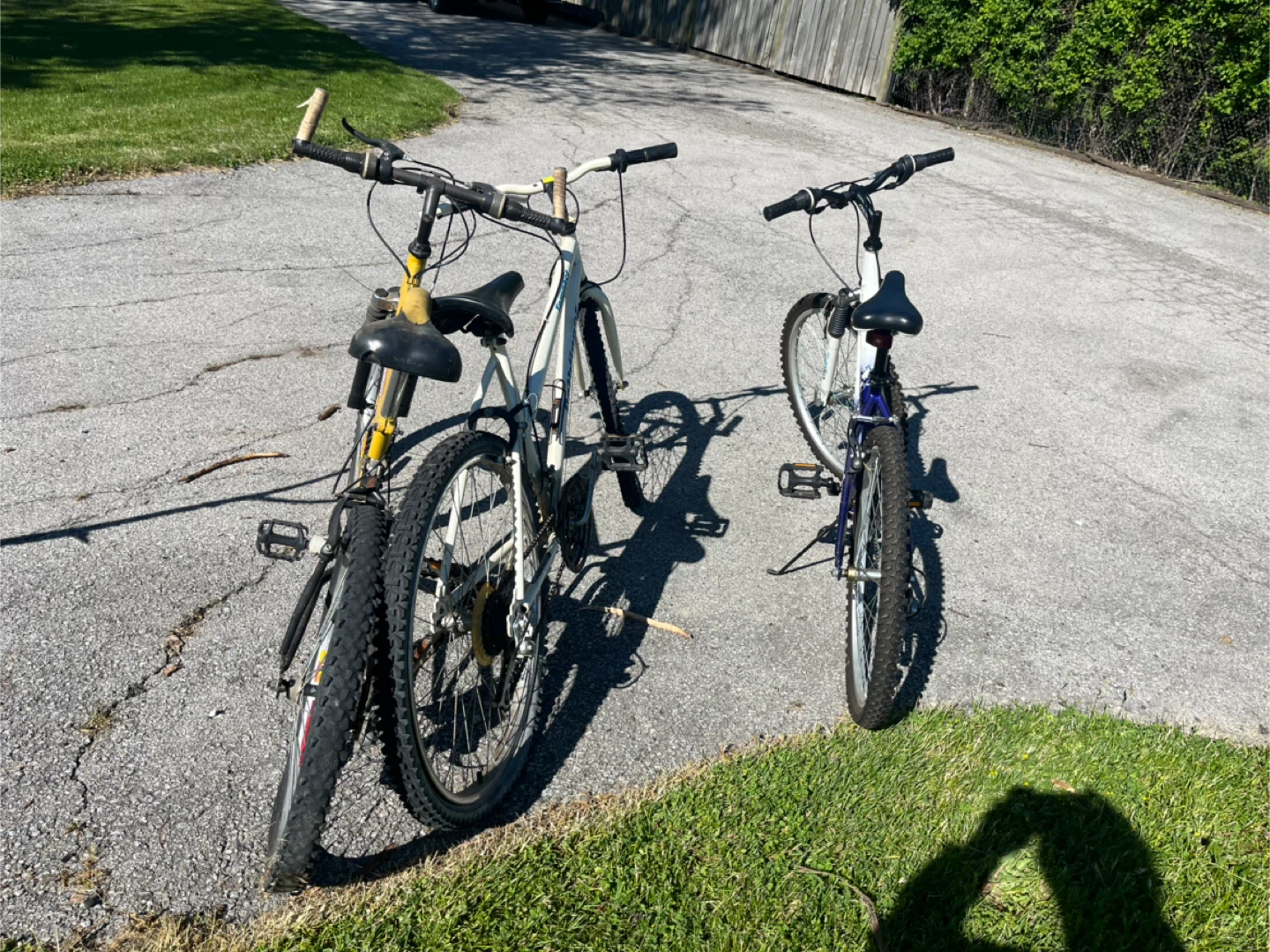 Bikes - multiple - photo 2