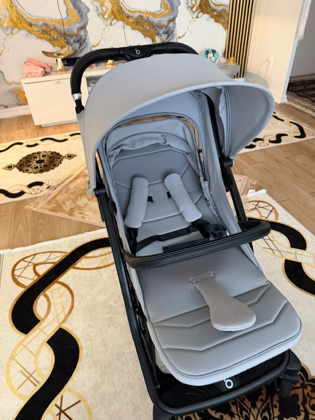 Strolller - photo 5