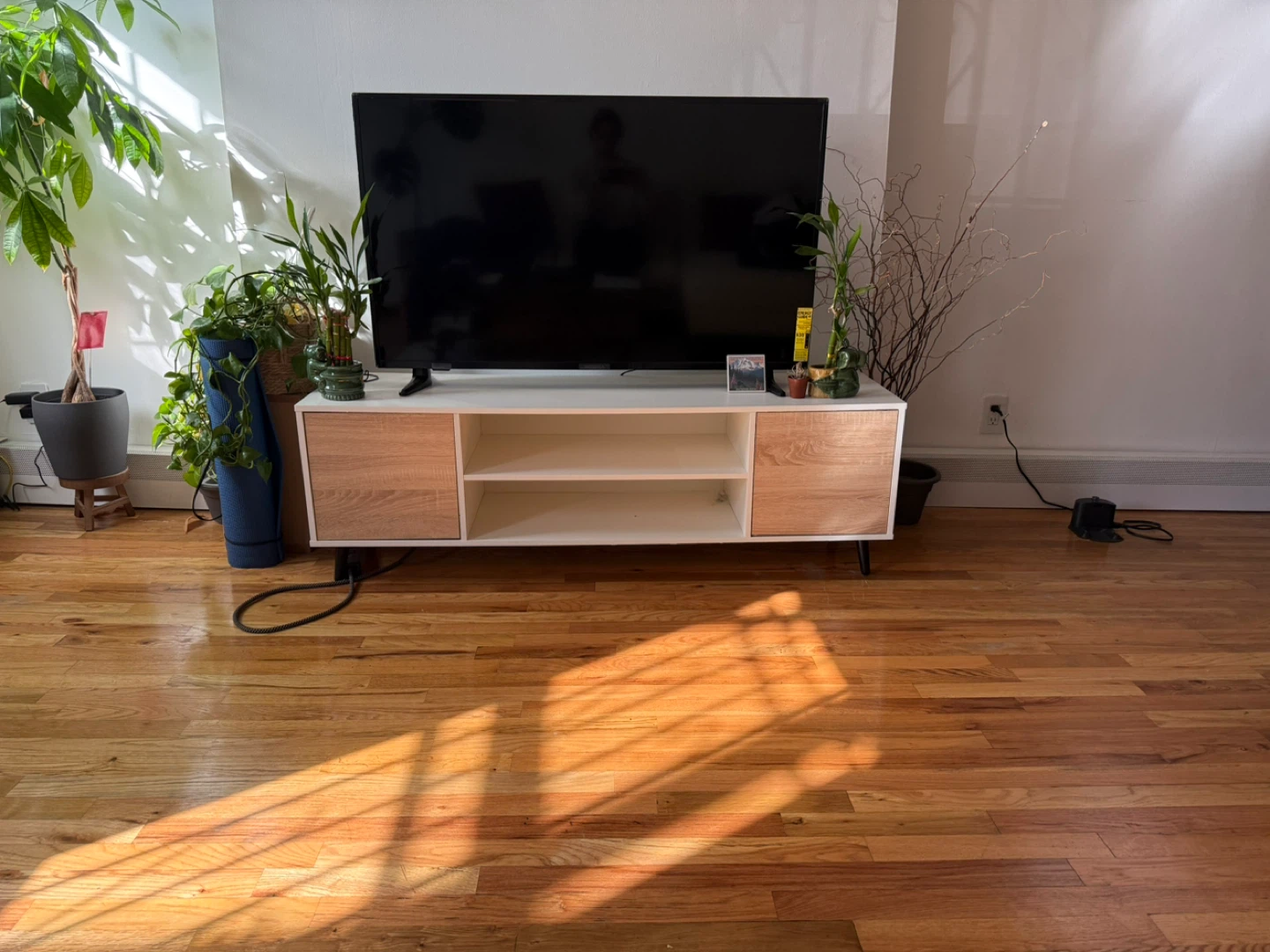 Modern TV Stand with 2 Drawers