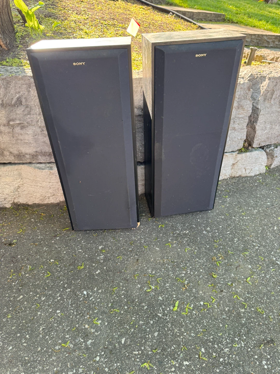 Sony Speaker System (Pair) just need to get wires