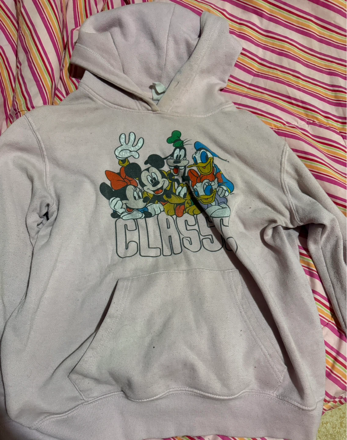 Pink Disney Classics Hoodie