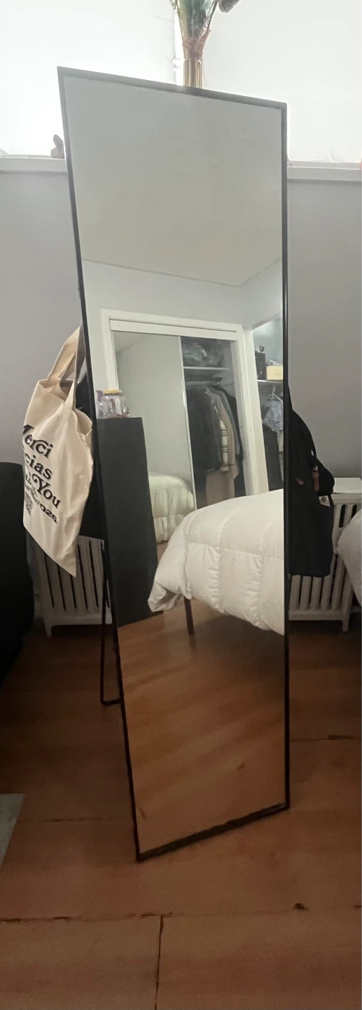 Full Length Standing Mirror