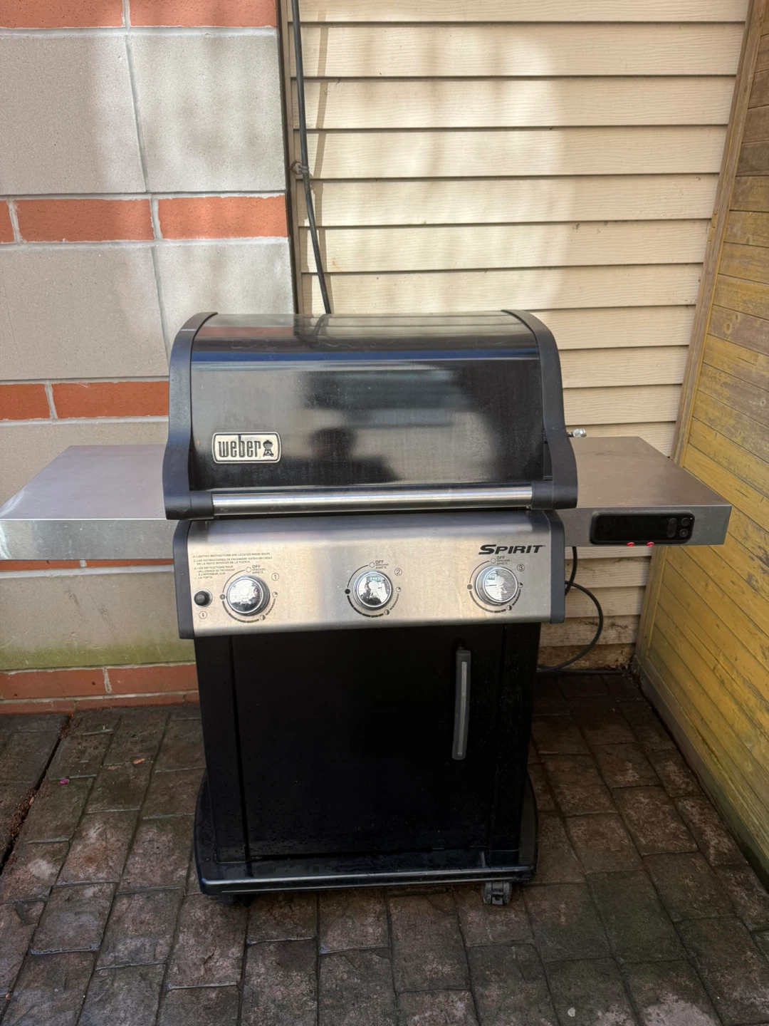 Weber Spirit Propane Grill
