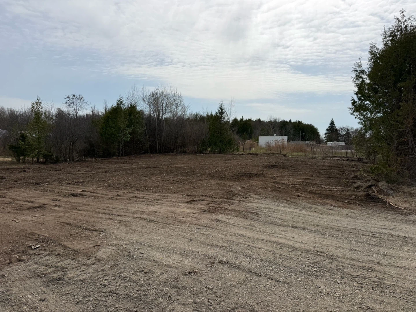 Cleared Land Parcel for Sale - photo 3